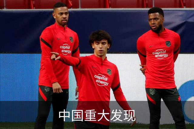 中国重大发现