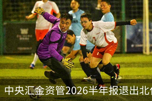 中央汇金资管2026半年报退出北化股份前十大股东名单