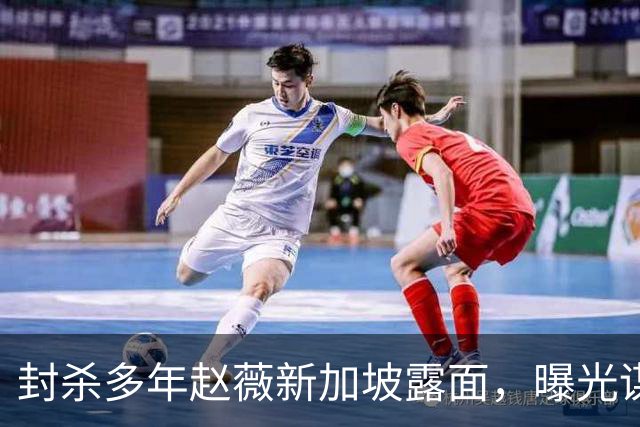 封杀多年赵薇新加坡露面，曝光谋生手段，网友：想不到她会干这个