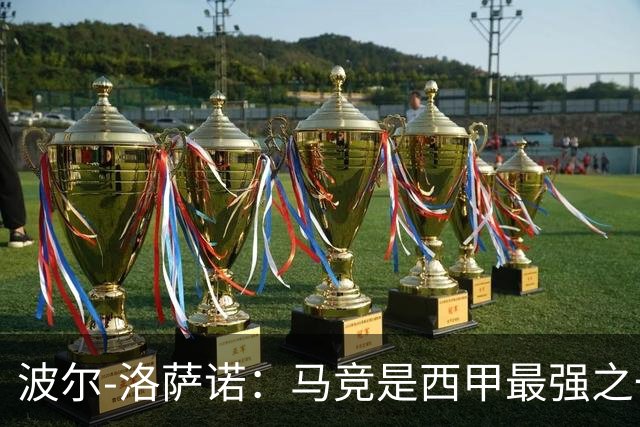 波尔-洛萨诺：马竞是西甲最强之一；主帅马诺洛值得信任