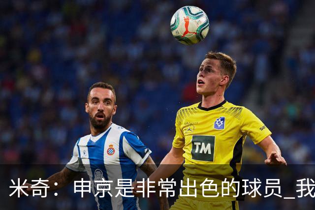米奇：申京是非常出色的球员 我们本可以更早对他做防守布置