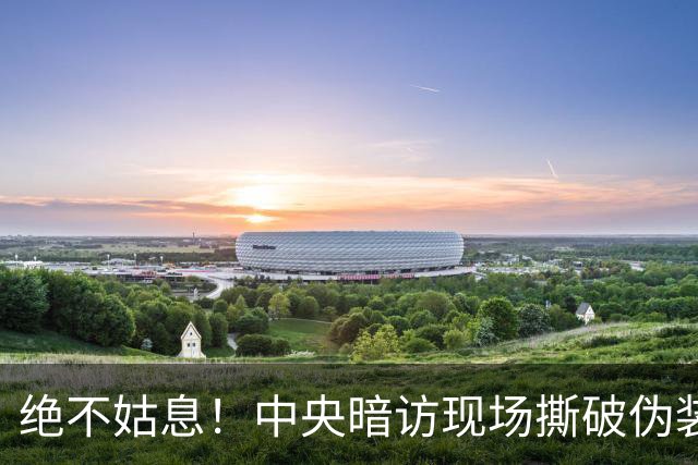 绝不姑息！中央暗访现场撕破伪装，这些离谱乱象，怎么洗都洗不掉