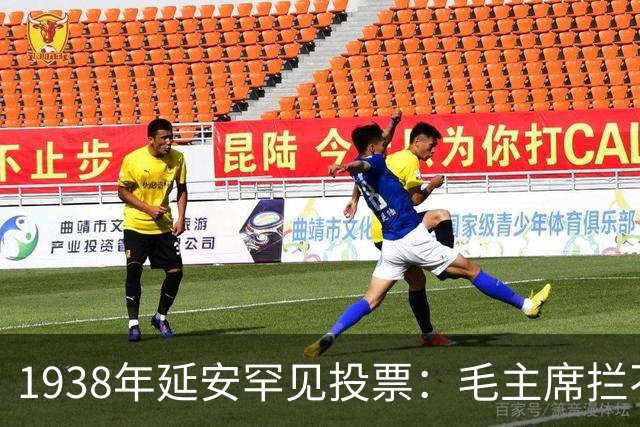 1938年延安罕见投票：毛主席拦不住王明赴武汉，周恩来等为何集体投赞成票？