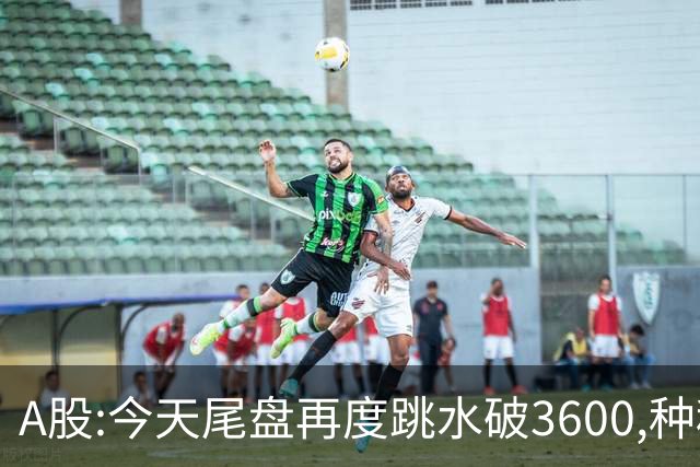 A股:今天尾盘再度跳水破3600,种种迹象表明,本轮调整或全面启动？