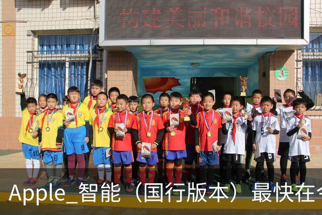 Apple 智能（国行版本）最快在今晚发布！